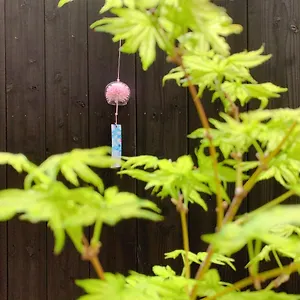 https://momo-house.hotels-in-kyoto.org
